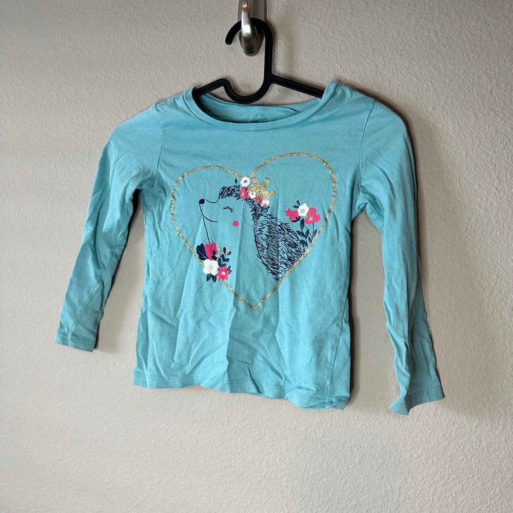 Carters 4T hedgehog Porcupine T- Shirt Teal long sleeve shirt